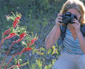 Kalamunda National Park - Accommodation Search 1