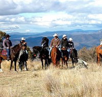 Snowy Wilderness - Accommodation Search