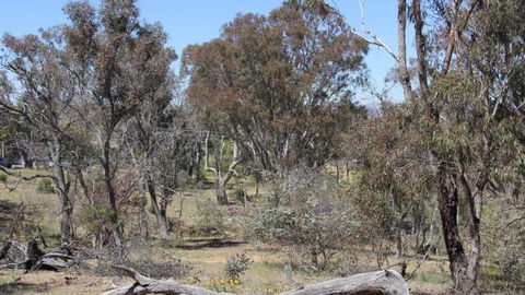 Remembrance Nature Park - Accommodation Search 2