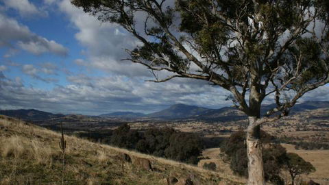 Urambi Hills - Accommodation Search 2
