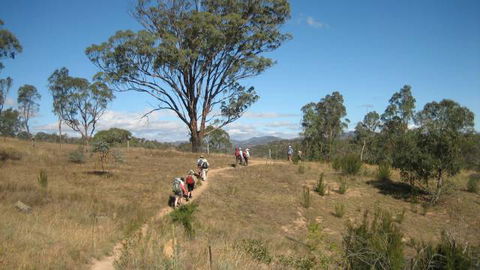 Kambah Pool To Pine Island - Accommodation Search 3