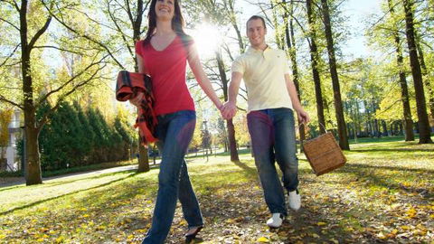 Glebe Park - Accommodation Search 2