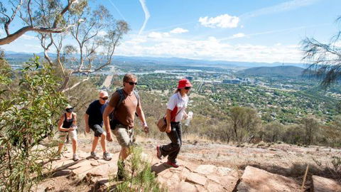 Mount Ainslie Lookout - Accommodation Search 2