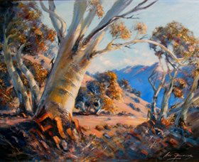 Snowy Mountains NSW Accommodation Search