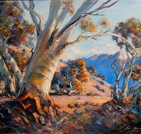 Kunama Snowy Mountains Centre for the Arts - Accommodation Search
