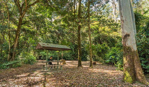 Tooloom National Park - Accommodation Search 0