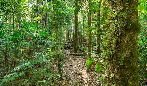 Tooloom National Park - Accommodation Search 2