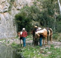 Yarramba Horse Riding - Accommodation Search