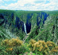 Wollomombi Falls - Accommodation Search