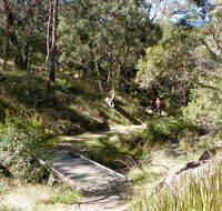 Wollomombi walking track - Accommodation Search