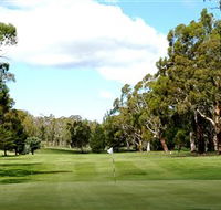 Cooma Golf Club - Accommodation Search
