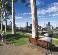 Kings Park and Botanic Garden - Accommodation Search