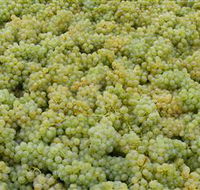 Normanby Wines - Accommodation Search