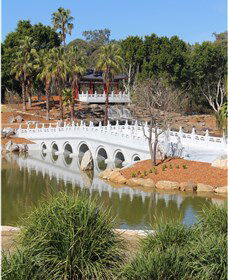 Chang Lai Yuan Chinese Gardens - Accommodation Search 1