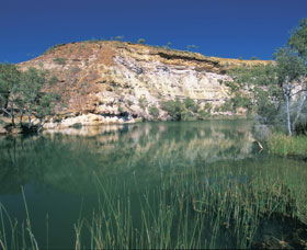 Ellendale Pool - Accommodation Search 0