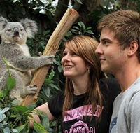 Featherdale Wildlife Park - Accommodation Search