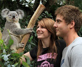 Featherdale Wildlife Park - Accommodation Search 0