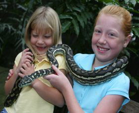 Featherdale Wildlife Park - Accommodation Search 2