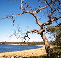 Lake Indoon - Accommodation Search