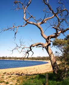 Lake Indoon - Accommodation Search 0