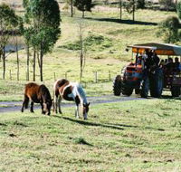 Calmsley Hill City Farm - Accommodation Search