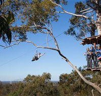 TreeTop Safari - Accommodation Search