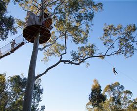 TreeTop Safari - Accommodation Search 3