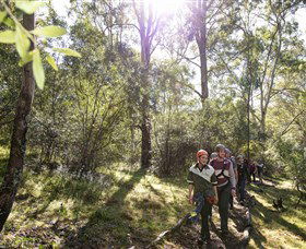 TreeTop Safari - Accommodation Search 4