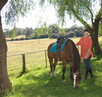 Sugarloaf Horse Centre - Accommodation Search