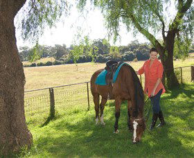 Sugarloaf Horse Centre - Accommodation Search 0