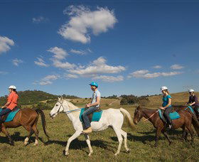 Sugarloaf Horse Centre - Accommodation Search 1