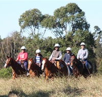 Sydney Trail Riding Centre - Accommodation Search