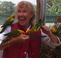 Maleny Botanic Gardens  Bird World - Accommodation Search