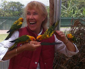 Maleny Botanic Gardens & Bird World - Accommodation Search 0