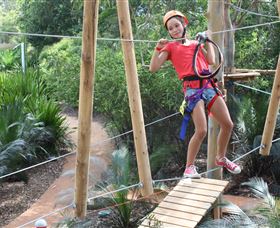 Urban Jungle Adventure Park - Accommodation Search 0