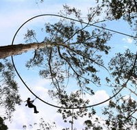TreeTops Crazy Rider - Accommodation Search
