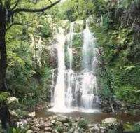Budderoo National Park - The Falls Walk - Accommodation Search