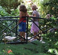 EG Waterhouse National Camellia Garden - Accommodation Search