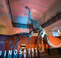 Australian Museum - Accommodation Search