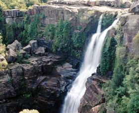 Minnamurra Rainforest Centre: Budderoo National Park - Accommodation Search 0