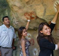 Nura Diya Aboriginal Wildlife Tour at Taronga Zoo - Accommodation Search