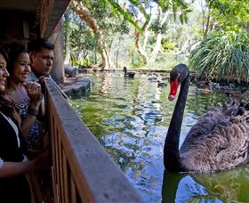 Nura Diya Aboriginal Wildlife Tour At Taronga Zoo - Accommodation Search 3