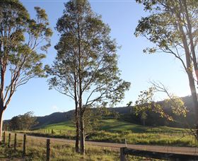 Tourist Drive 2 - Bucketts Way - Accommodation Search 1