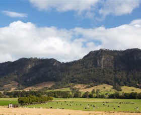 Tourist Drive 2 - Bucketts Way - Accommodation Search 2