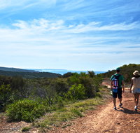 Moonee Beach trail - Accommodation Search