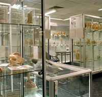 Museum of Human Disease - Accommodation Search