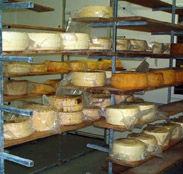 Harvey Cheese - Accommodation Search