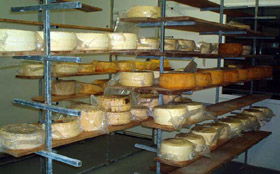 Harvey Cheese - Accommodation Search 0