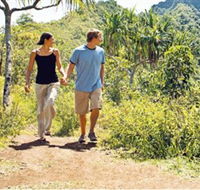 Hoddles Track - Accommodation Search