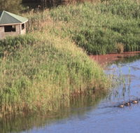 Spring Creek Bird Hide - Accommodation Search